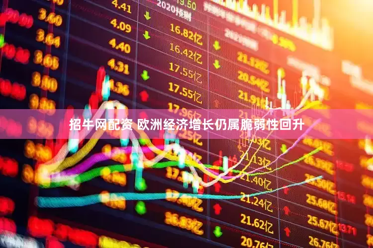 招牛网配资 欧洲经济增长仍属脆弱性回升