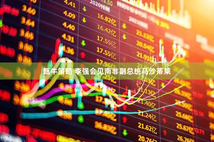 甄牛策略 李强会见南非副总统马沙蒂莱